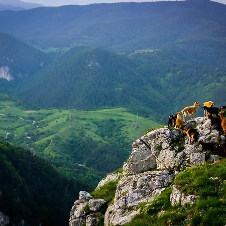 Mursal Hotel Yagodina